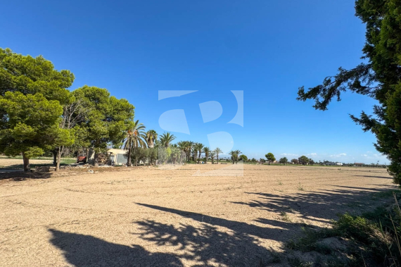  - Resale - Crevillente - Alicante