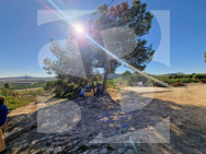 D · La Revente ORIHUELA · Hurchillo