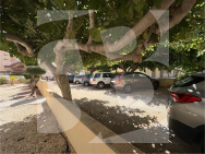 A · La Revente TORREVIEJA · La Mata