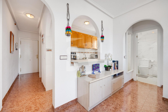 p - Segunda Mano - TORREVIEJA - Parque las naciones