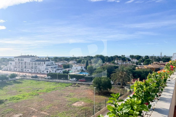 A - Segunda Mano - TORREVIEJA - Torrevieja