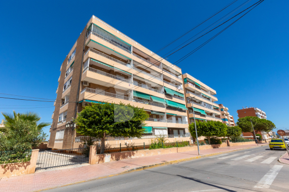 Apartamento - Segunda Mano - TORREVIEJA - Rocio del Mar