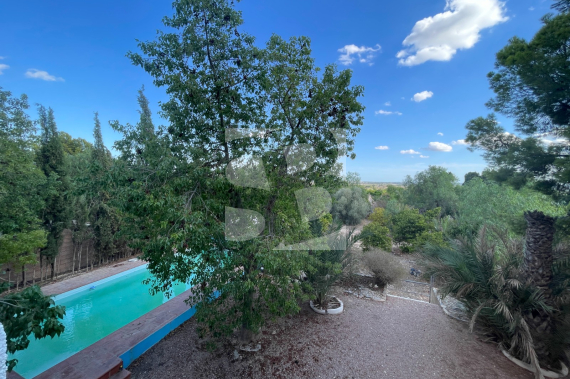  - La Revente - Albatera - Albatera