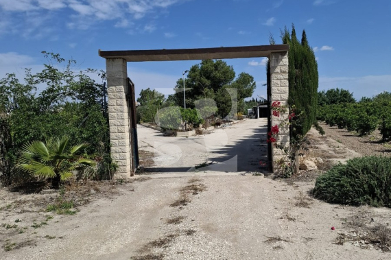  - Resale - Guardamar del Segura - Guardamar del Segura