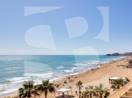 p · Odsprzedaż TORREVIEJA · 