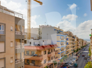 A · Odsprzedaż TORREVIEJA · Centro - Muelle Pesquero