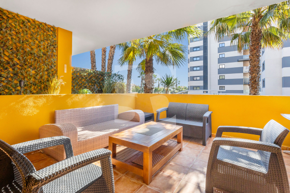 Apartamento - Segunda Mano - TORREVIEJA - Punta Prima