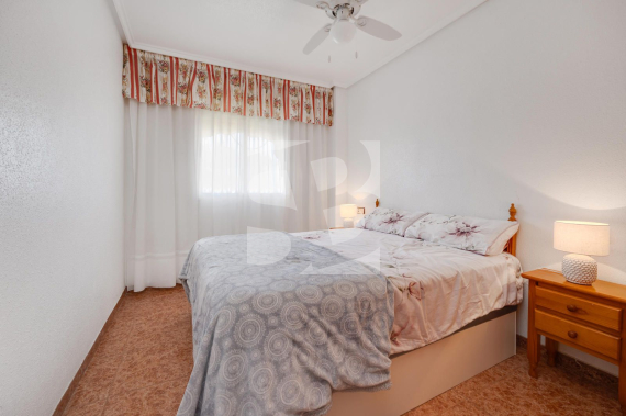 p - Segunda Mano - TORREVIEJA - Parque las naciones