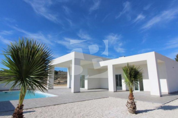 Villa - New Build - Pinoso - Centro