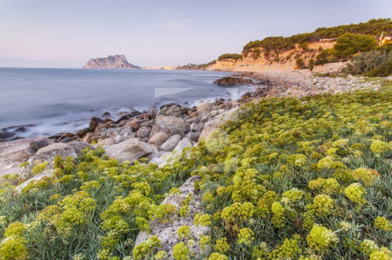 Вилла - Новостройка - Benissa - Cala Advocat