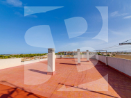 A · Odsprzedaż TORREVIEJA · San Luis