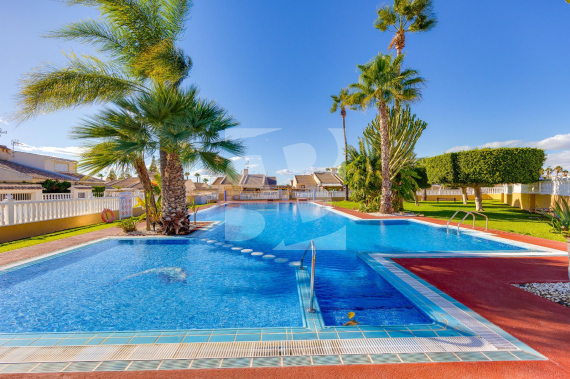 Chalets Pareados - Odsprzedaż - TORREVIEJA - 