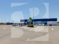 D · Segunda Mano ALICANTE · La Marina