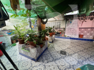 A · Segunda Mano Benejúzar