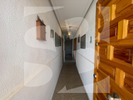  · Odsprzedaż Daya Nueva