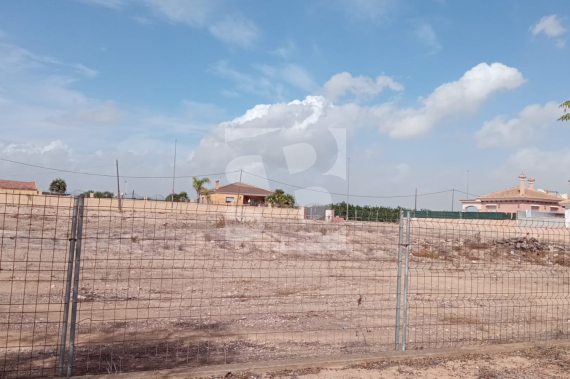  - Segunda Mano - Los Montesinos - La Herrada