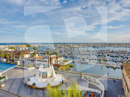 A · Odsprzedaż TORREVIEJA · Centro - Muelle Pesquero