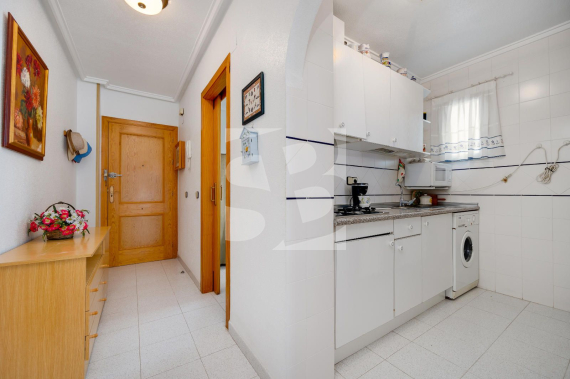 A - Odsprzedaż - TORREVIEJA - El Acequión - Los Náufragos