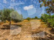 D · La Revente LOS MONTESINOS · Los Montesinos