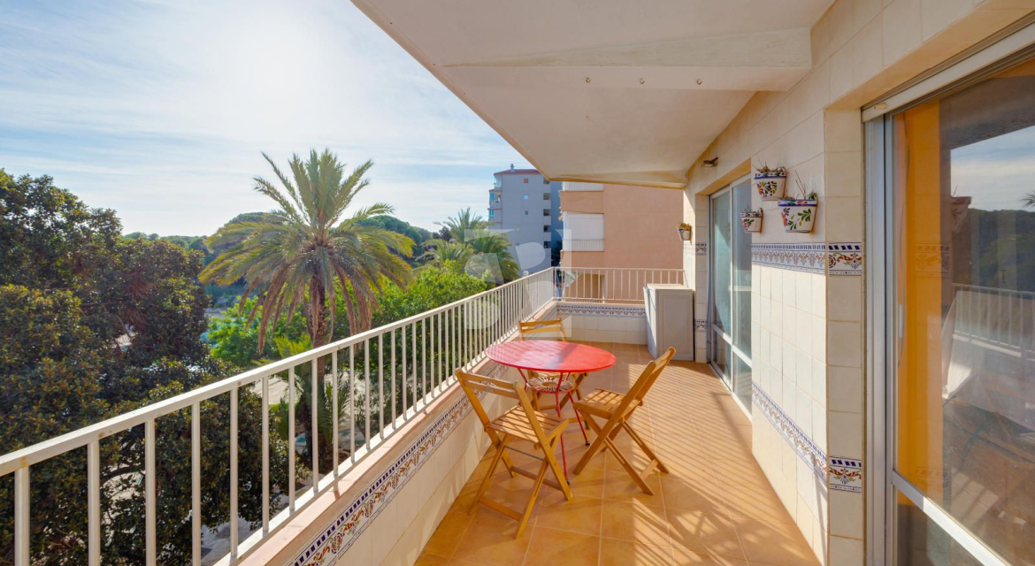 A · Odsprzedaż Guardamar del Segura · Pinomar