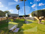 Bungalows Planta Alta · La Revente TORREVIEJA · Jardin del Mar