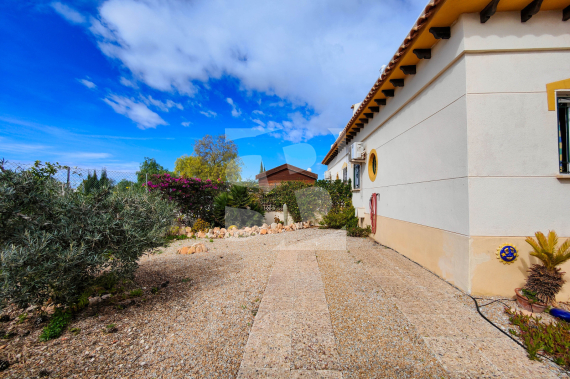 T - Продажа - ORIHUELA COSTA - La Florida