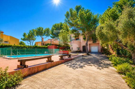 C - Resale - SAN MIGUEL DE SALINAS - San Miguel De Salinas