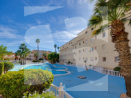 A · Odsprzedaż TORREVIEJA · San Luis