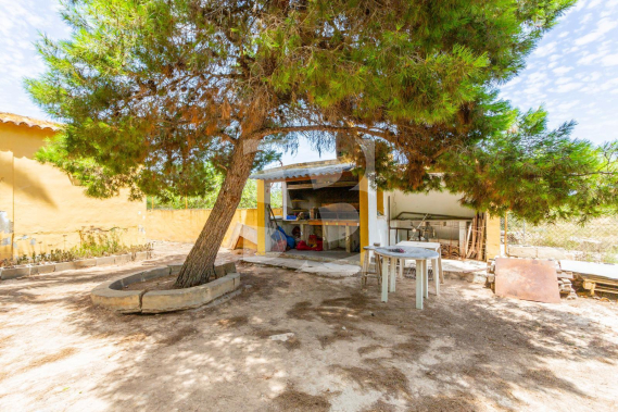 D - Resale - LOS MONTESINOS - Los Montesinos