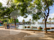 p · Segunda Mano TORREVIEJA · Parque las naciones