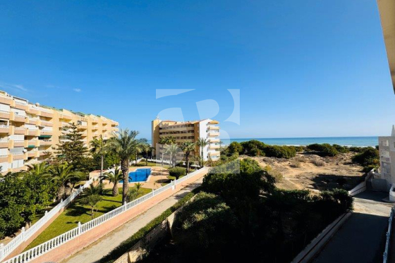 Appartement - La Revente - La Mata - La Mata