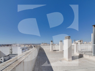 A · Odsprzedaż TORREVIEJA · Centro - Muelle Pesquero