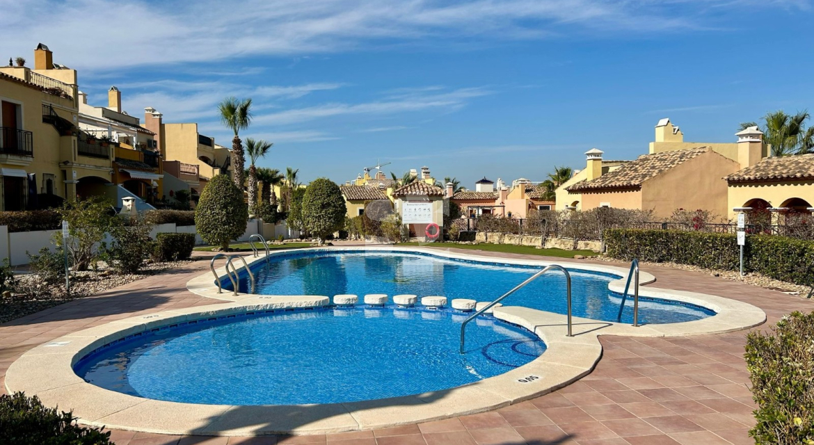  · Segunda Mano Algorfa · Village