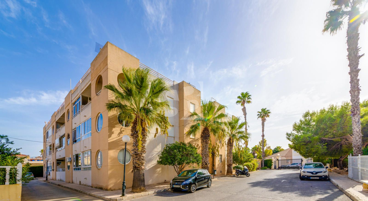 A · Odsprzedaż TORREVIEJA · San Luis