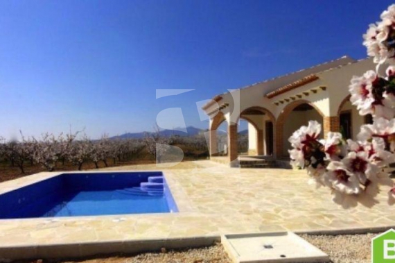 Villa - New Build - Pinoso - Centro