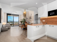 Attique · Nouvelle construction BENIJOFAR · Pueblo