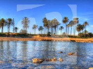 Appartement · Nouvelle construction TORREVIEJA · Playa de El Cura