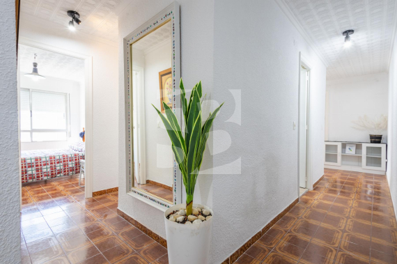 A - Segunda Mano - TORREVIEJA - Playa del Acequión