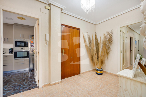 A - Odsprzedaż - TORREVIEJA - Centro - Muelle Pesquero