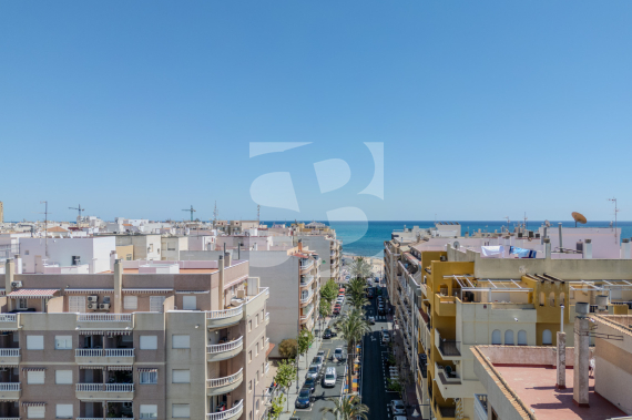 Apartment - Penthouse - Odsprzedaż - TORREVIEJA - Torrevieja