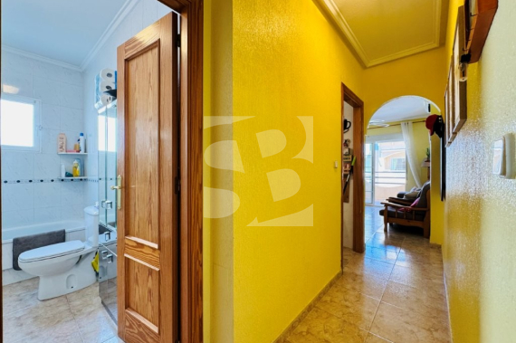Apartamento - Segunda Mano - La Mata - Torrevista Playa