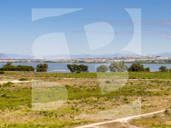 Bungalows Planta Alta · La Revente TORREVIEJA · Jardin del Mar