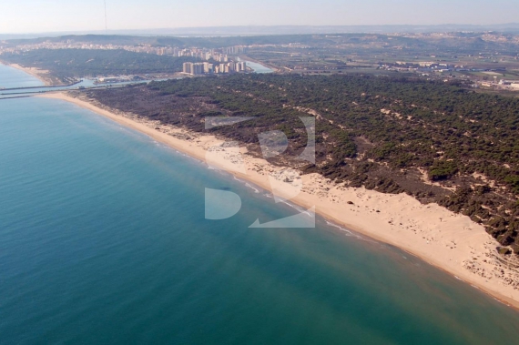 Apartamento - Obra Nueva - Guardamar del Segura - Puerto