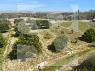  · La Revente Rojales