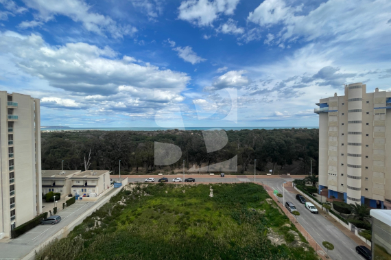 - Segunda Mano - Guardamar del Segura - Puerto Deportivo