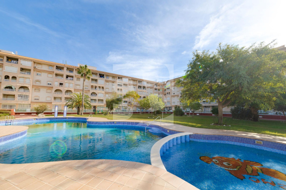 p - Segunda Mano - TORREVIEJA - Parque las naciones