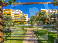 Apartamento · Segunda Mano TORREVIEJA · Punta Prima