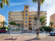 A · Odsprzedaż Guardamar del Segura · Pinomar