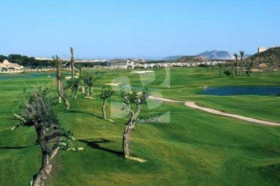 Villa - New Build - SUCINA - Peraleja Golf