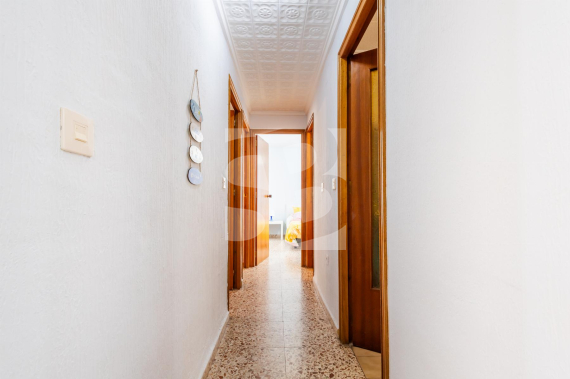 A - Segunda Mano - TORREVIEJA - Torrevieja